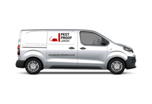 Pest Control Mice London