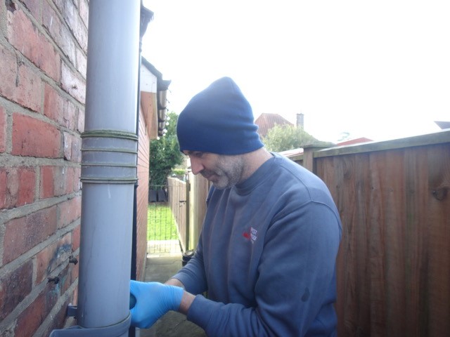 Pest proofing